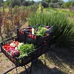 בית נופש I Secolari Di Giulia *