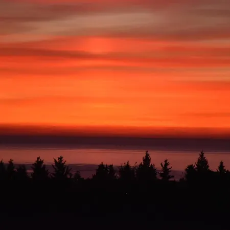 I Secolari Di Giulia *