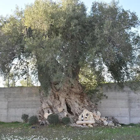 I Secolari Di Giulia Vakantiehuis Avola