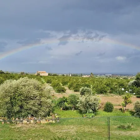 I Secolari Di Giulia *