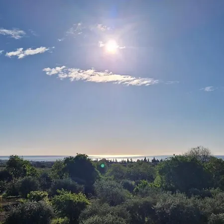 I Secolari Di Giulia Avola