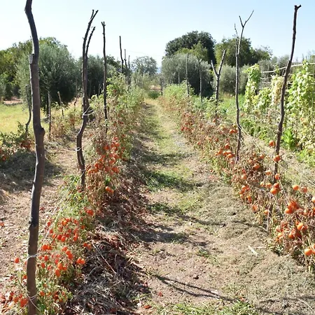 Vakantiehuis I Secolari Di Giulia Avola
