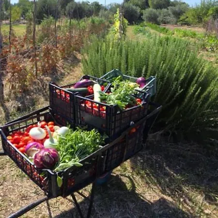 Vakantiehuis I Secolari Di Giulia *